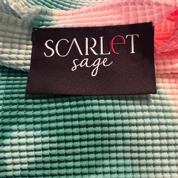 Scarlet Sage crushed-pleated top - Picture 2 of 2